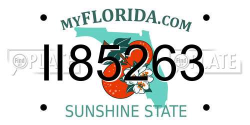 II85263 Florida License Plate