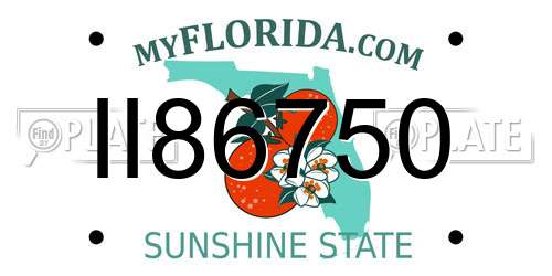 II86750 Florida License Plate
