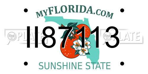 II87113 Florida License Plate