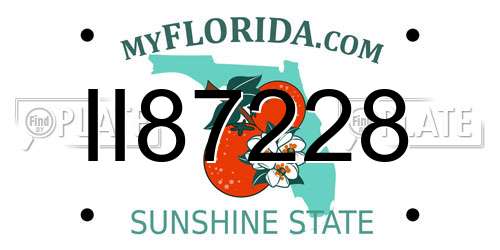 II87228 Florida License Plate