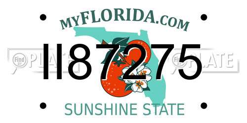 II87275 Florida License Plate