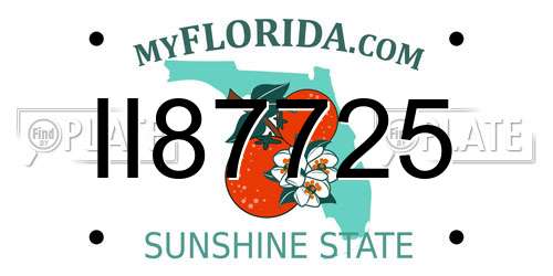 II87725 Florida License Plate