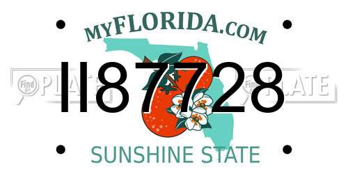 II87728 Florida License Plate