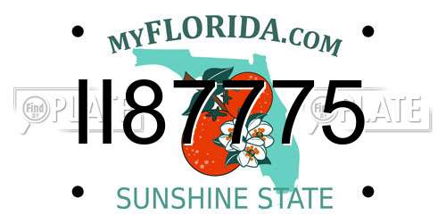 II87775 Florida License Plate