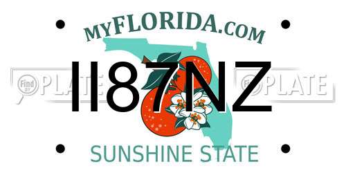 II87NZ Florida License Plate