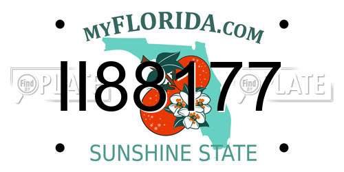 II88177 Florida License Plate