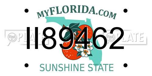 II89462 Florida License Plate