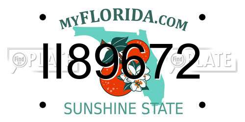 II89672 Florida License Plate