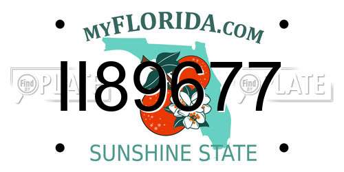 II89677 Florida License Plate