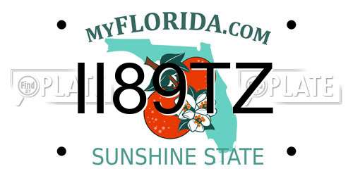 II89TZ Florida License Plate