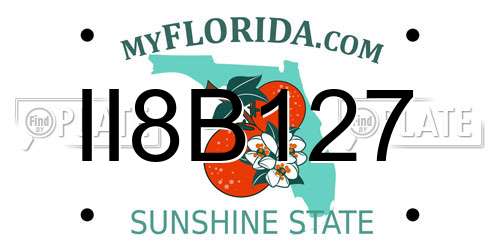 II8B127 Florida License Plate