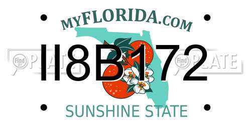 II8B172 Florida License Plate
