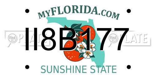 II8B177 Florida License Plate
