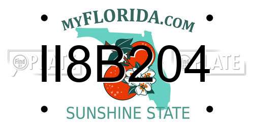 II8B204 Florida License Plate