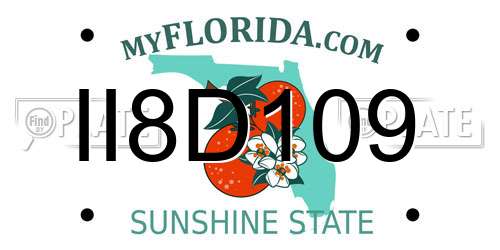 II8D109 Florida License Plate