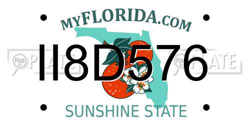 II8D576 Florida License Plate
