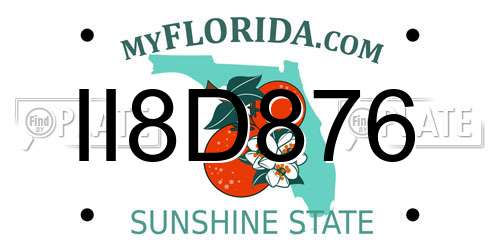 II8D876 Florida License Plate