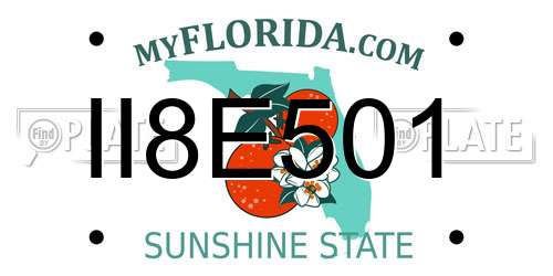 II8E501 Florida License Plate