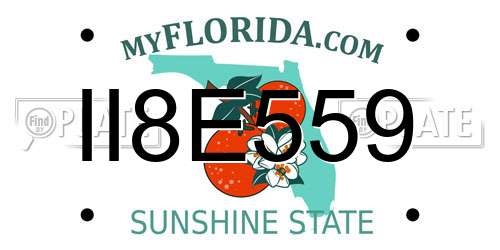 II8E559 Florida License Plate