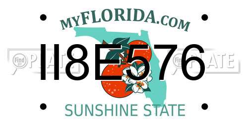 II8E576 Florida License Plate