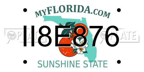 II8E876 Florida License Plate