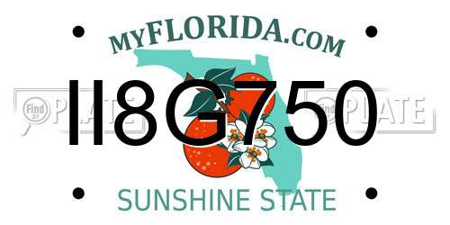 II8G750 Florida License Plate