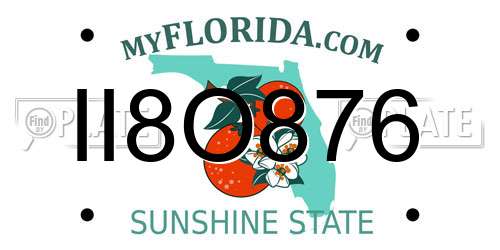 II8O876 Florida License Plate