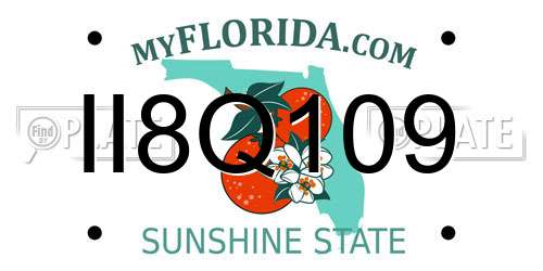 II8Q109 Florida License Plate