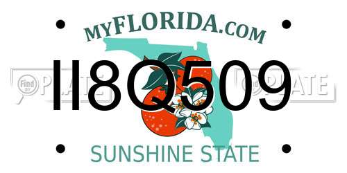II8Q509 Florida License Plate