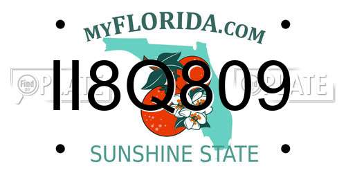 II8Q809 Florida License Plate