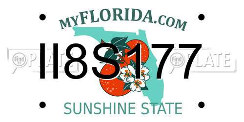 II8S177 Florida License Plate