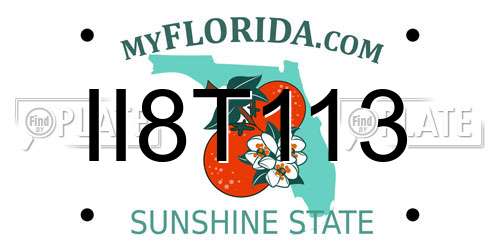 II8T113 Florida License Plate
