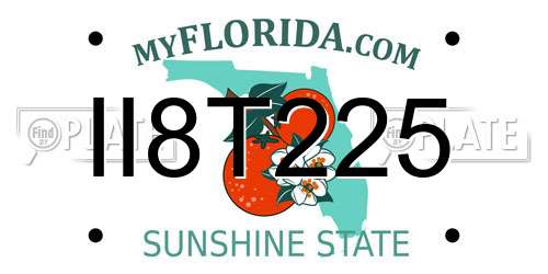 II8T225 Florida License Plate
