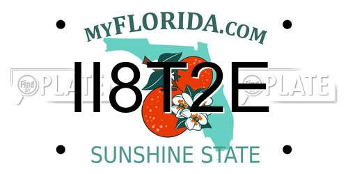 II8T2E Florida License Plate