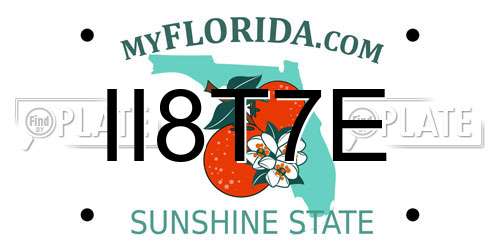 II8T7E Florida License Plate