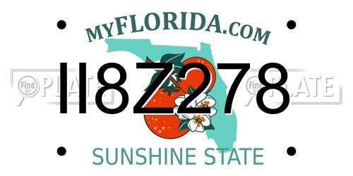 II8Z278 Florida License Plate