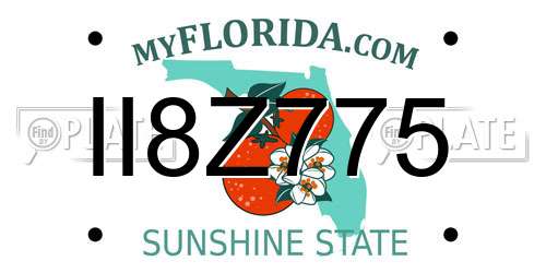 II8Z775 Florida License Plate