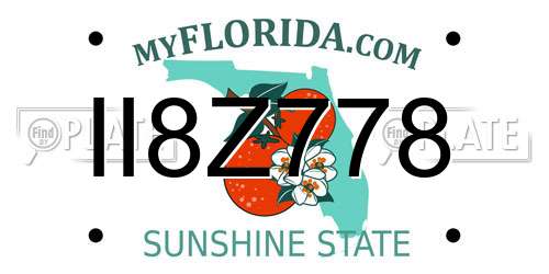 II8Z778 Florida License Plate