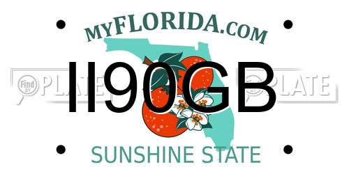 II90GB Florida License Plate