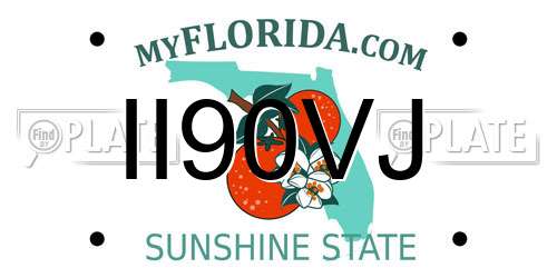 II90VJ Florida License Plate