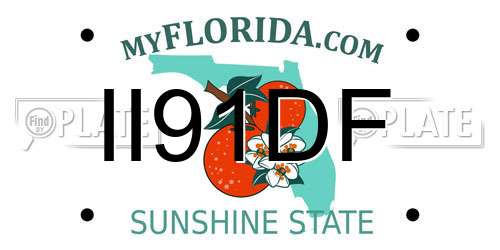 II91DF Florida License Plate