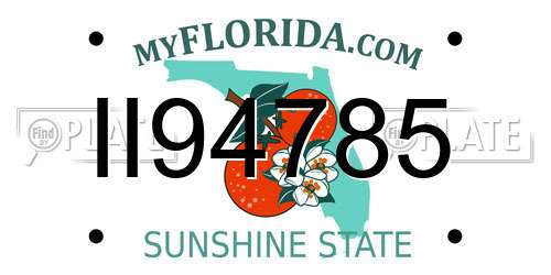 II94785 Florida License Plate
