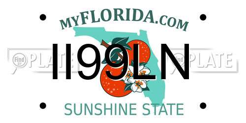 II99LN Florida License Plate