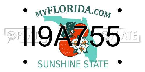 II9A755 Florida License Plate