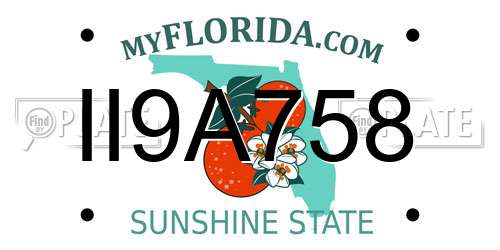 II9A758 Florida License Plate
