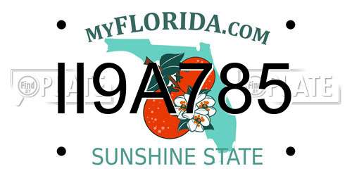 II9A785 Florida License Plate