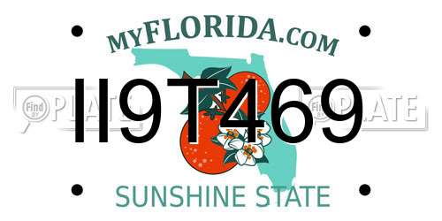 II9T469 Florida License Plate