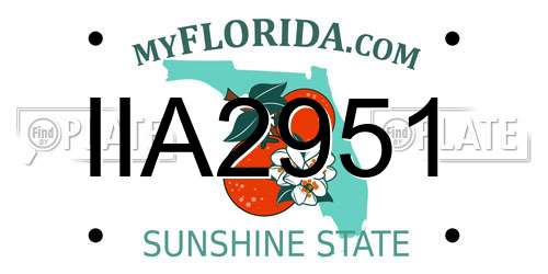 IIA2951 Florida License Plate