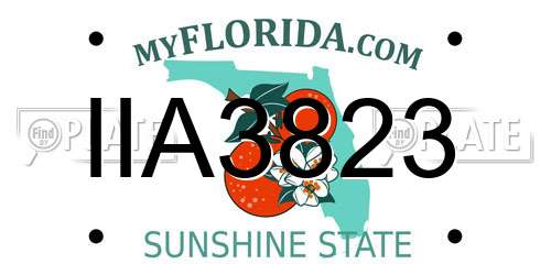 IIA3823 Florida License Plate