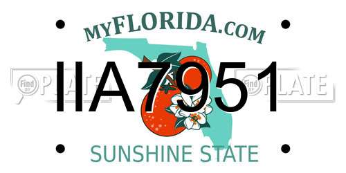 IIA7951 Florida License Plate